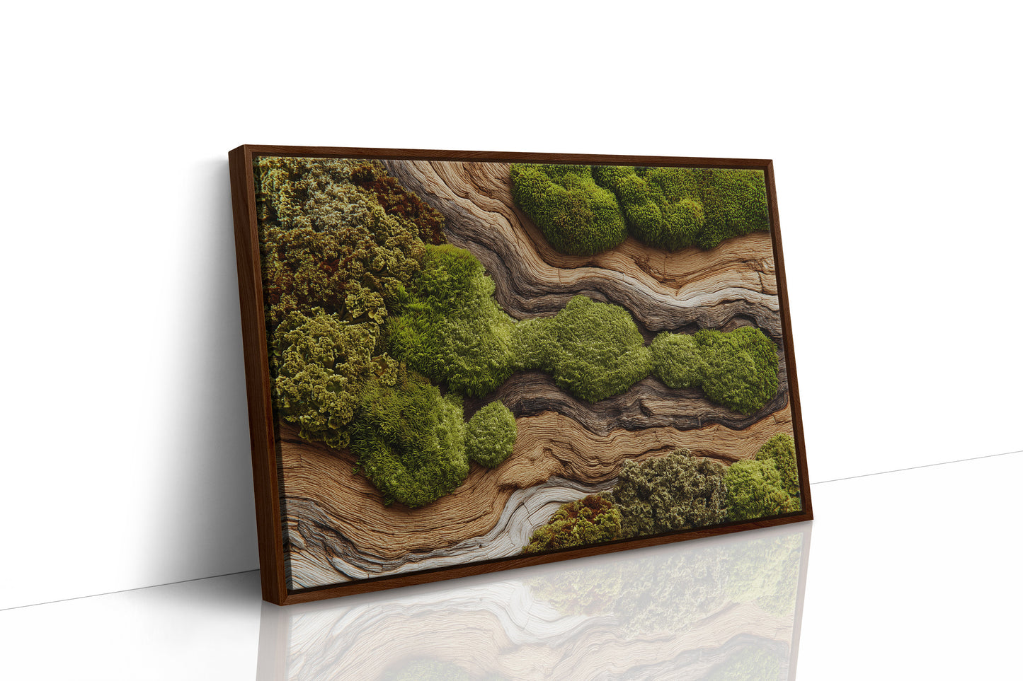 Where Moss Remembers Ancient Wood