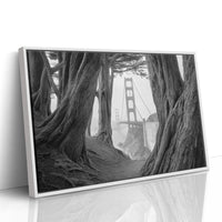 Ancient Trees Frame City Dreams