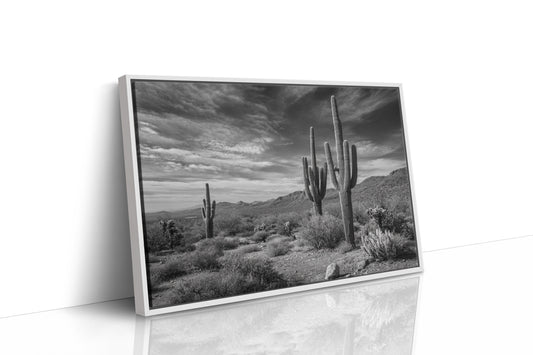 Tall Tales From Sonoran Skies