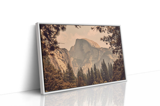 Ancient Granite Catches Golden Light