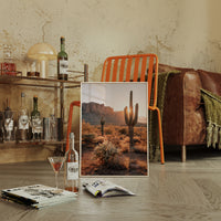 Sunlit Giants in Arid Embrace