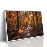 Autumn Path Weaves Golden Stories