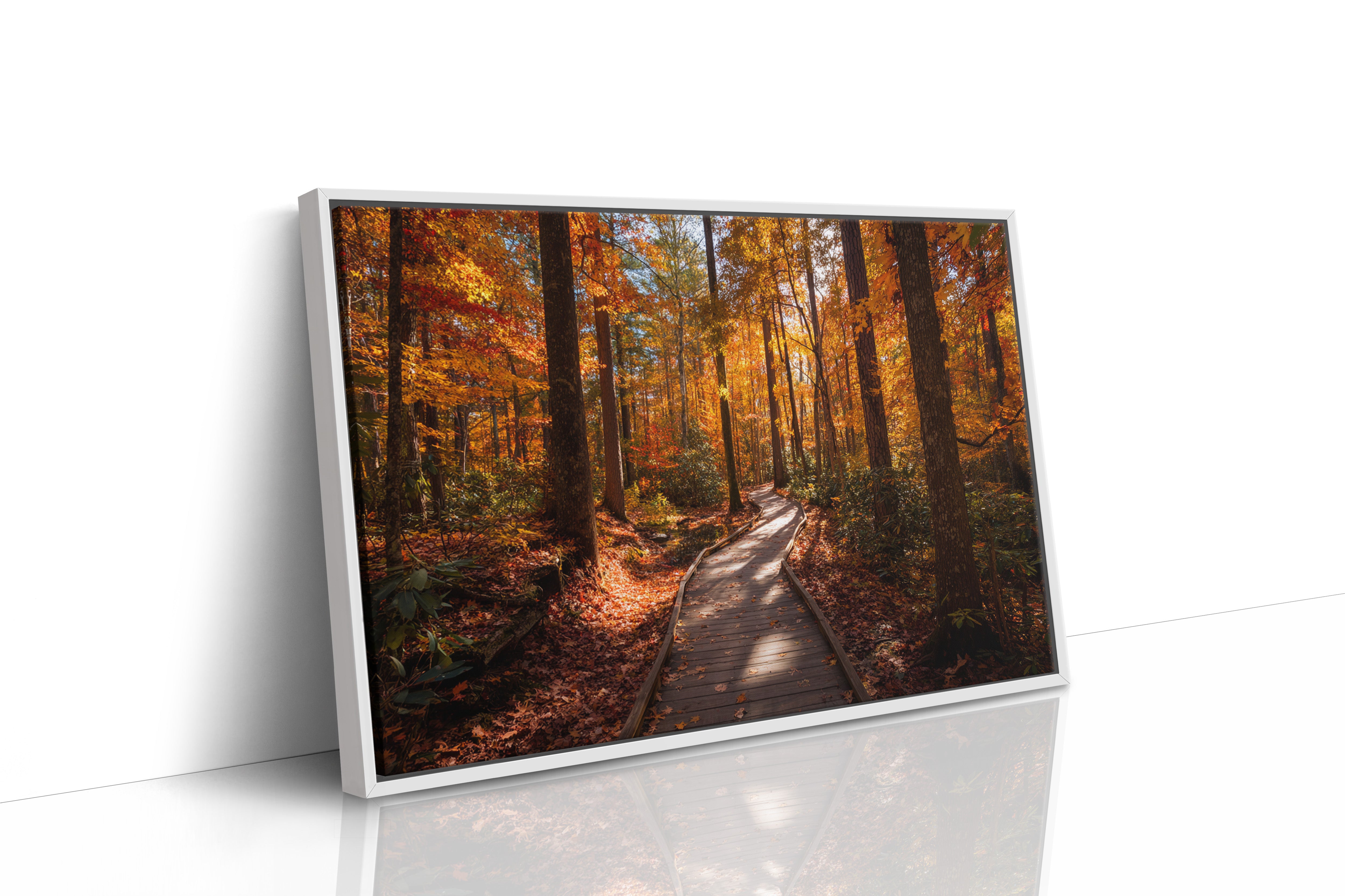 Autumn Path Weaves Golden Stories