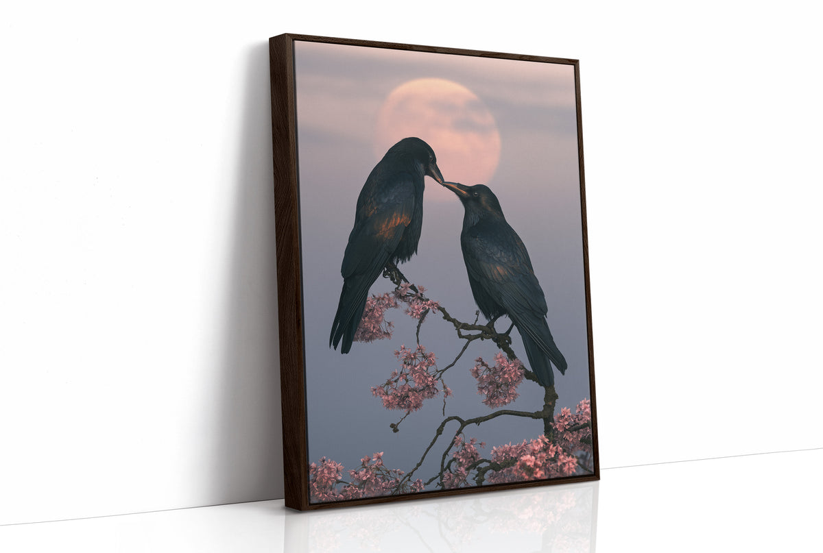 Ravens Share a Secret