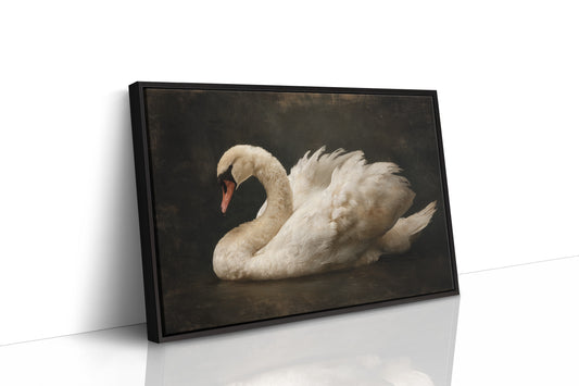 Ivory Grace Against Darkness