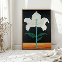 Midnight Lily Reaches For Stars