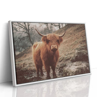 Highland Morning Mist And Stone