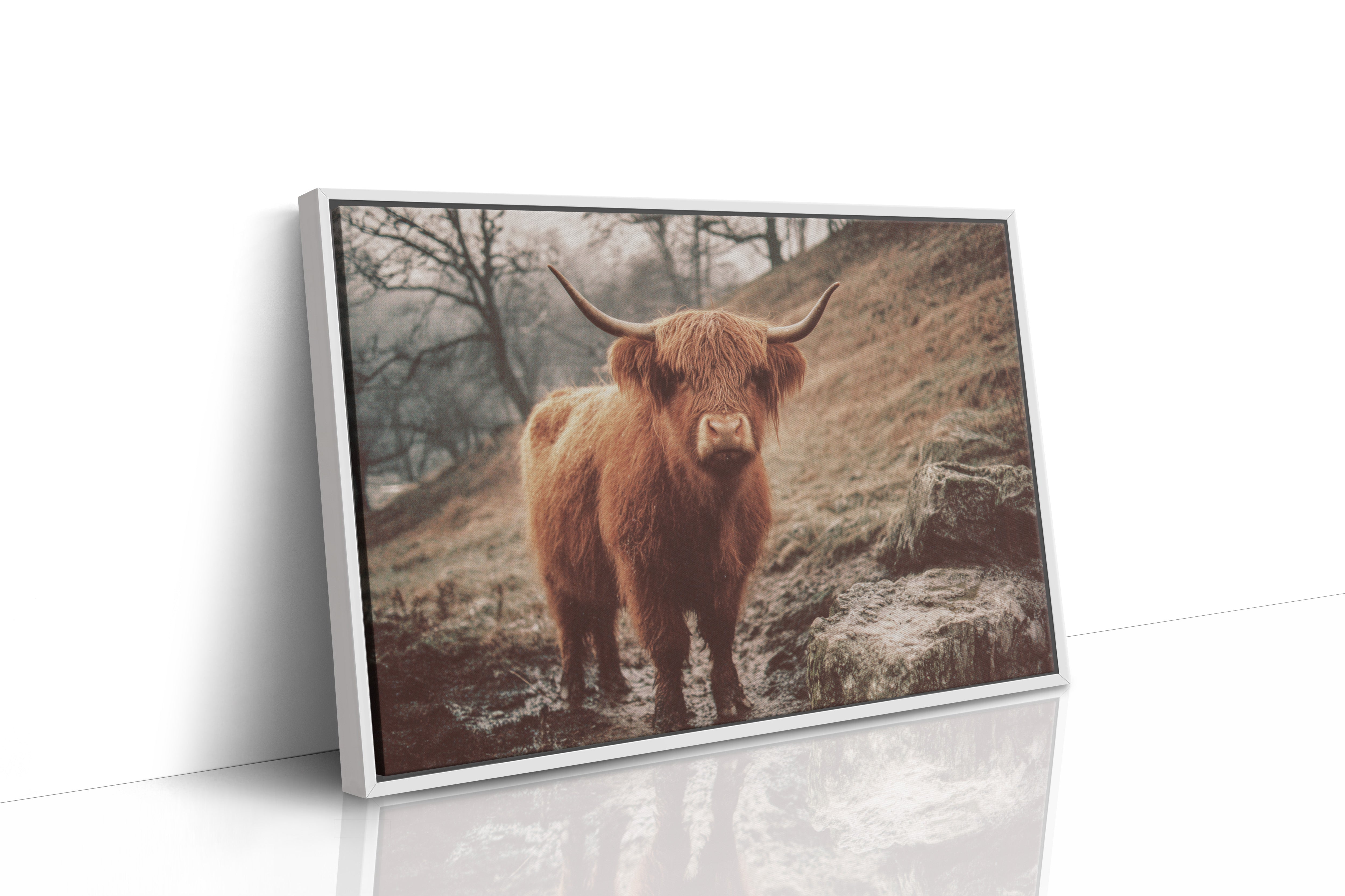 Highland Morning Mist And Stone