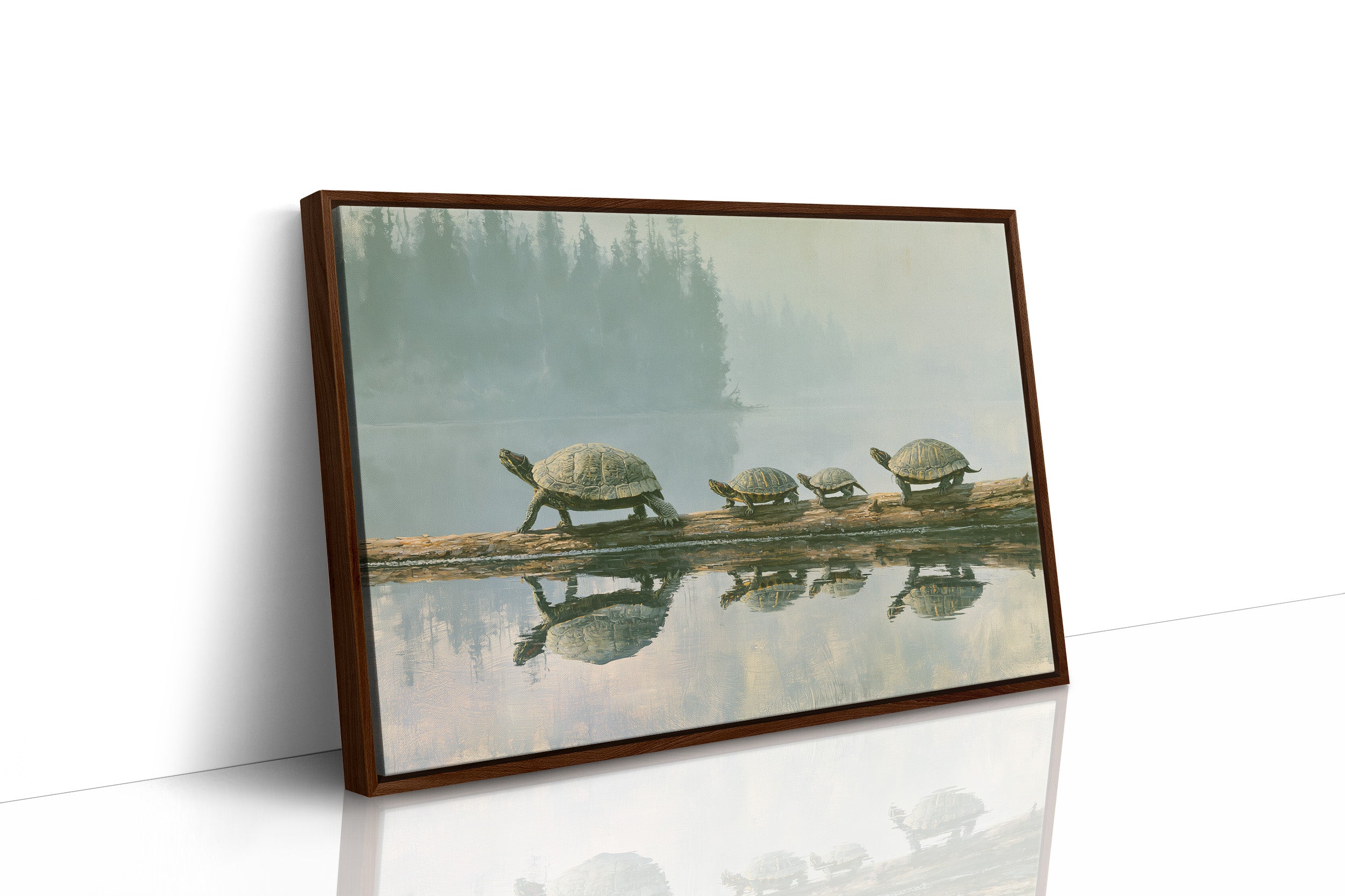 Turtle Family, No Rush