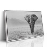 Wisdom Walks The Savanna Plains