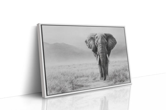 Wisdom Walks The Savanna Plains