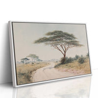 Acacia Bends Over Winding Path