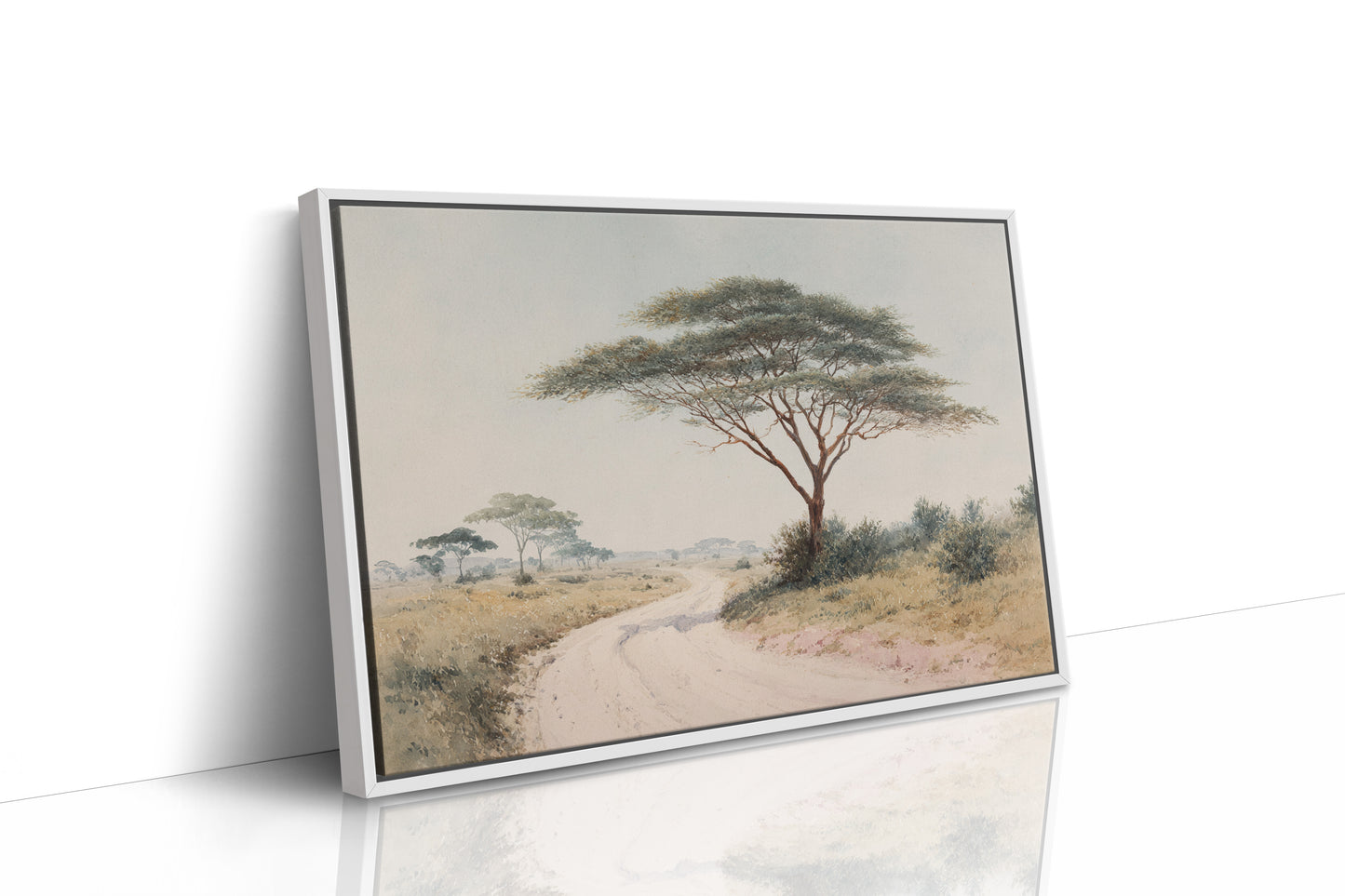 Acacia Bends Over Winding Path