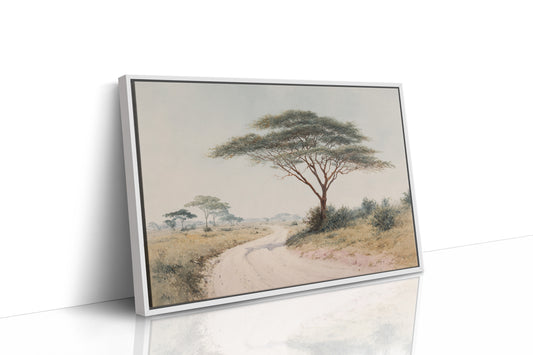 Acacia Bends Over Winding Path