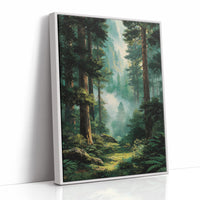 Where the Redwoods Breathe
