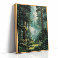 Where the Redwoods Breathe