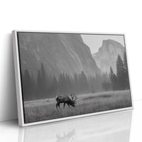Lone Elk Graces Valley Floor