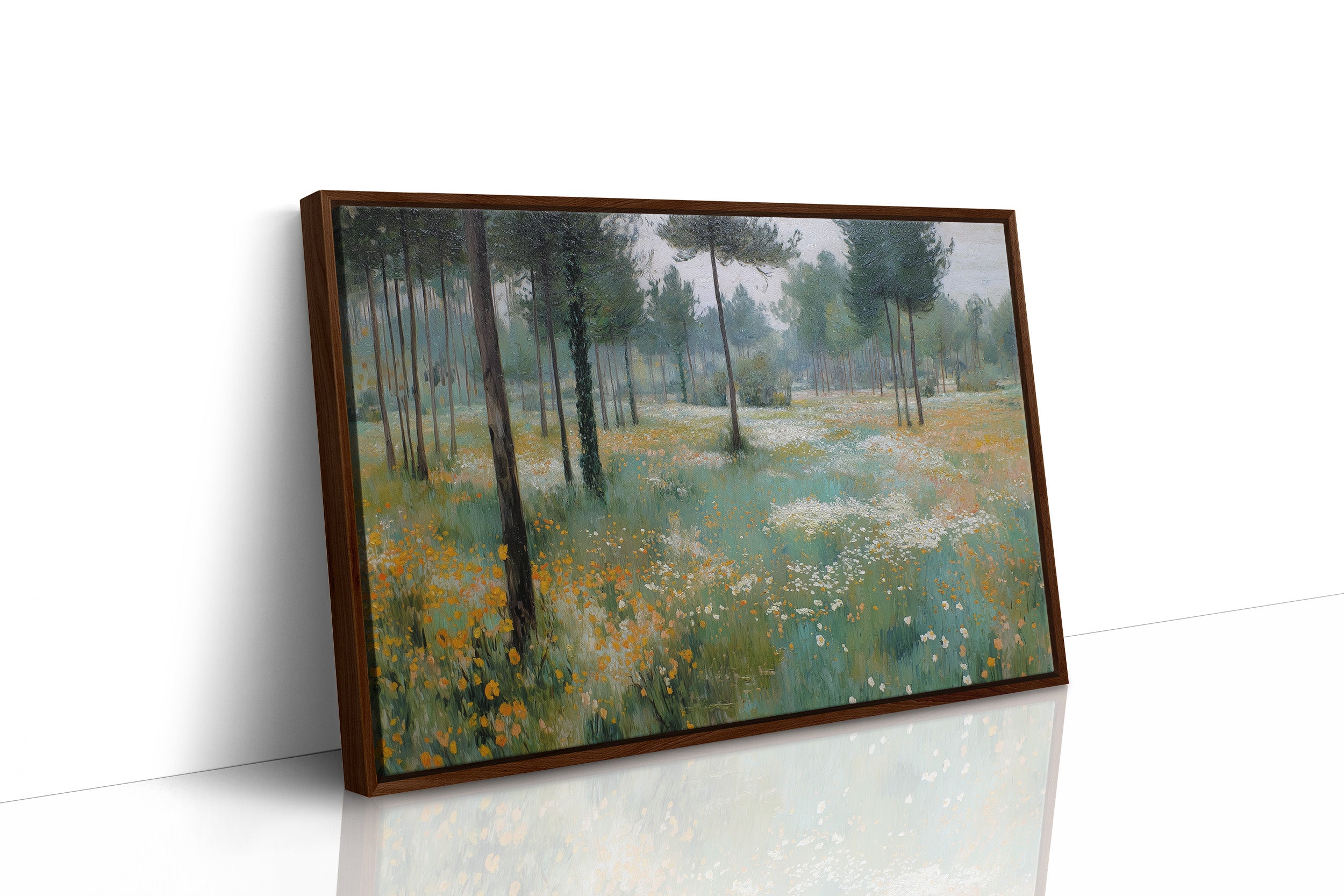 Meadow Light Through Ancient Pines