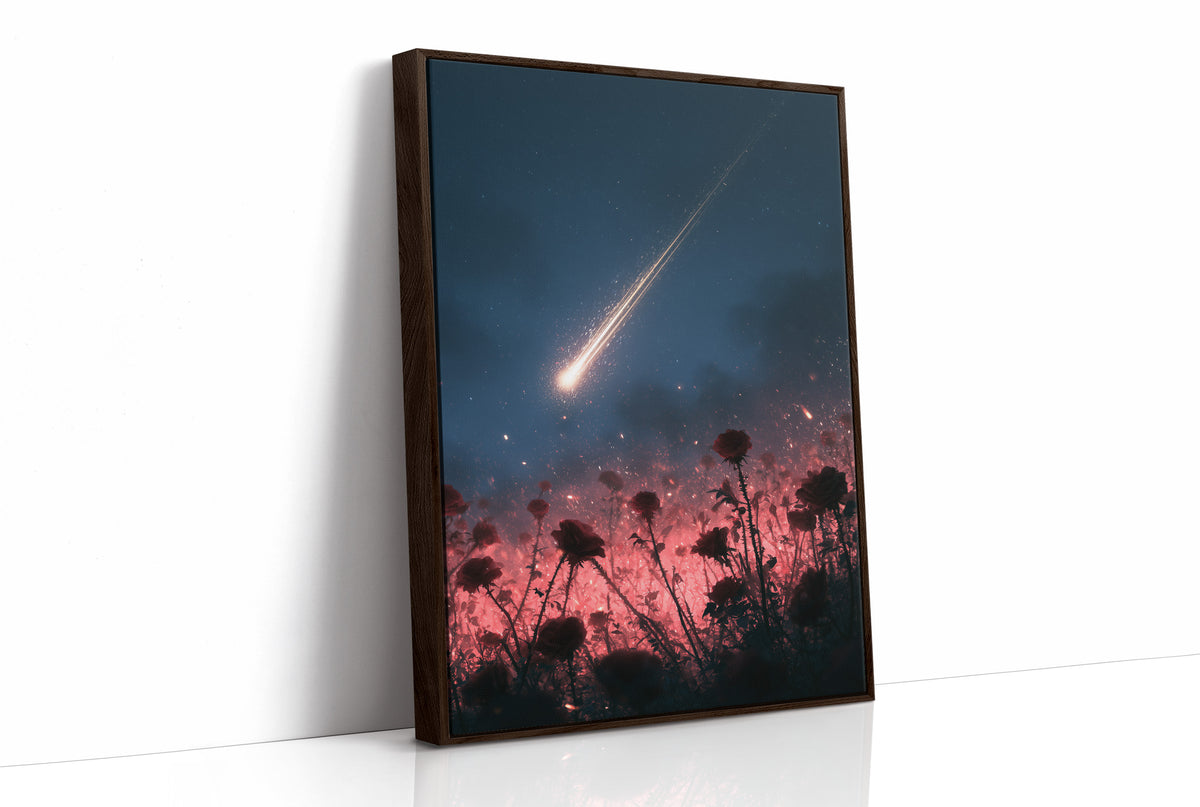 Shooting Star Over Rose Field
