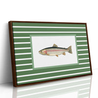 Striped Current Rainbow Catch