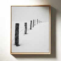 Where Fences Meet Forever