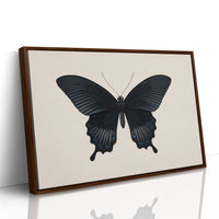 Midnight Sails On Velvet Wings