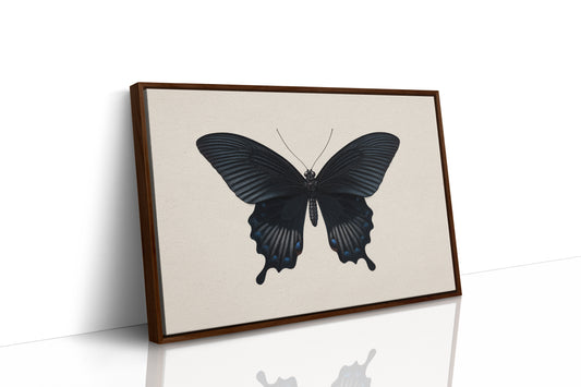 Midnight Sails On Velvet Wings