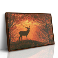 Stag, Struck by Sunrise