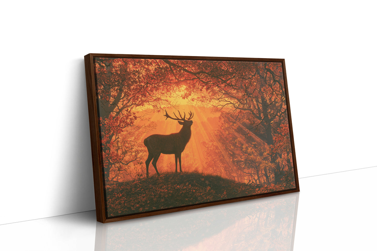 Stag, Struck by Sunrise