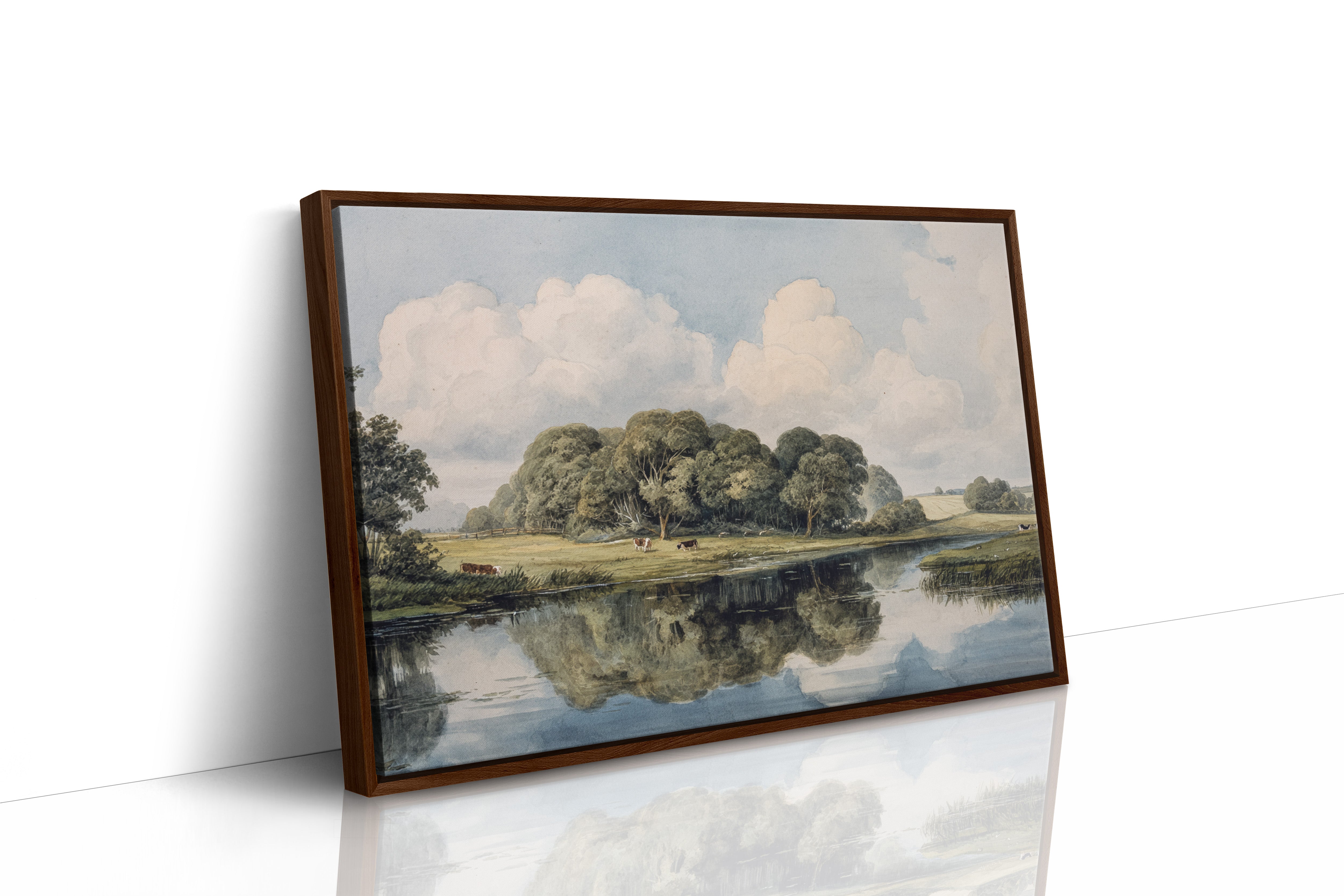 Summer Cattle Rest By Still Waters