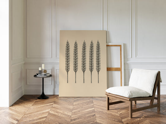 Five Loaves Botanical Wheat Illustration