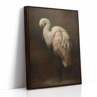 Ivory Feathers In Contemplative Stillness