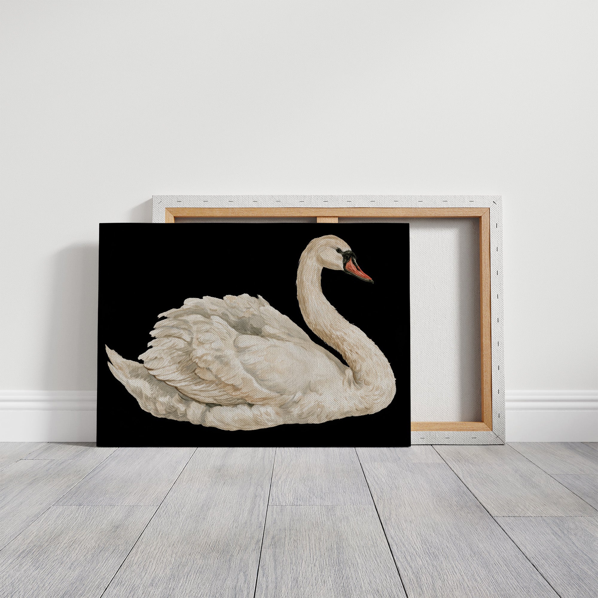 Swan, Study in White