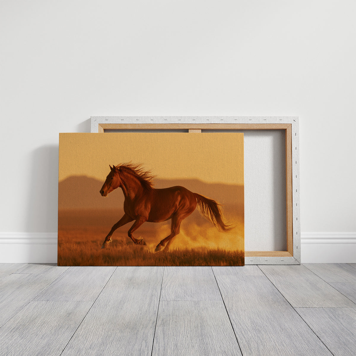 Chestnut Mustang at Golden Hour