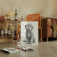 Curly Coat and Kind Eyes