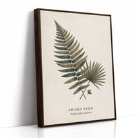 Vintage Herbarium