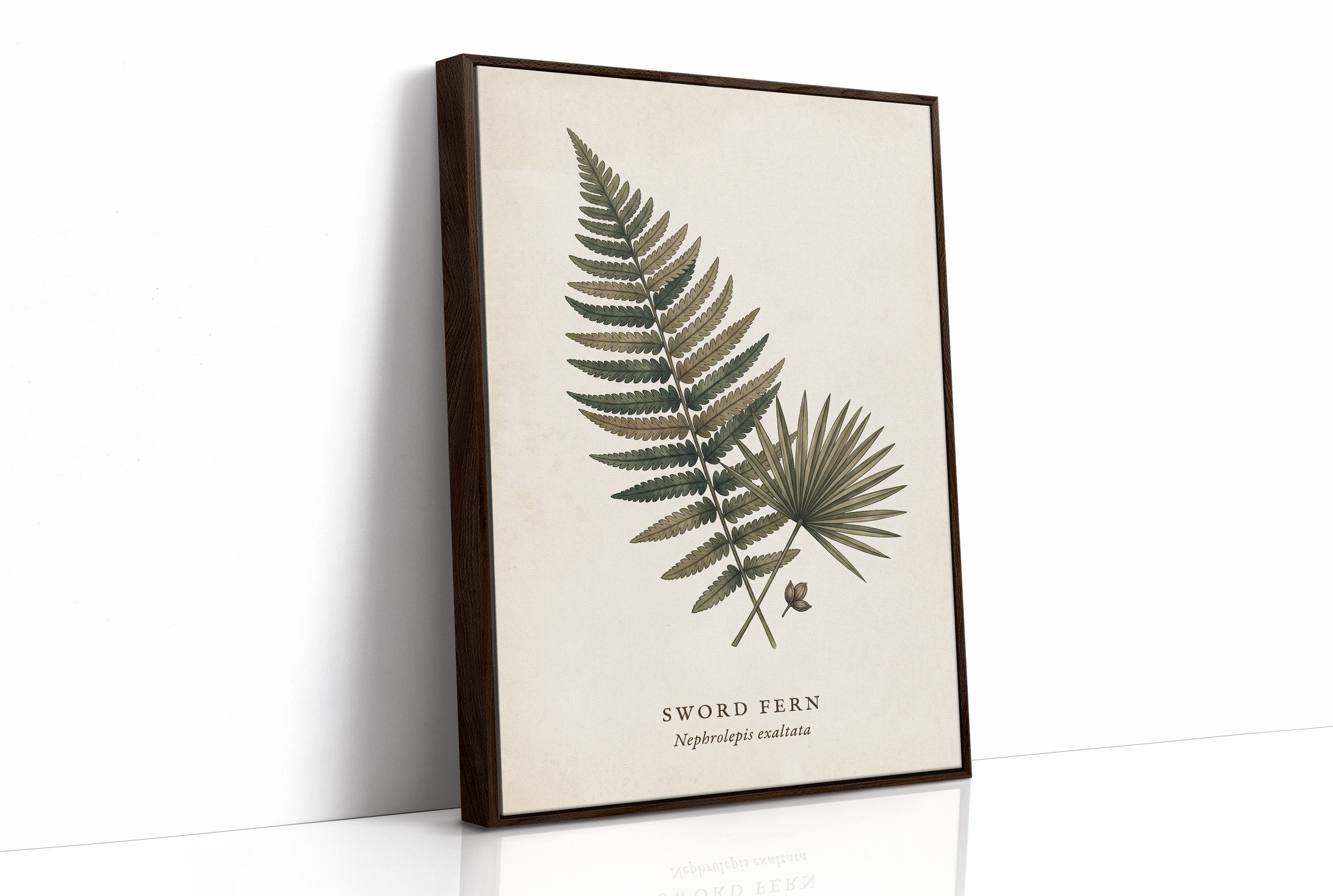 Vintage Herbarium