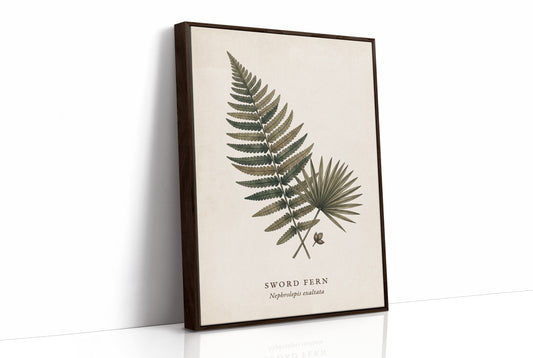 Vintage Herbarium