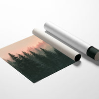 Pines Fading Into Fog