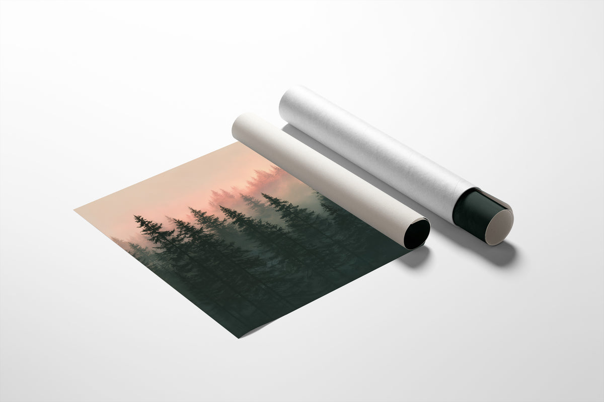 Pines Fading Into Fog