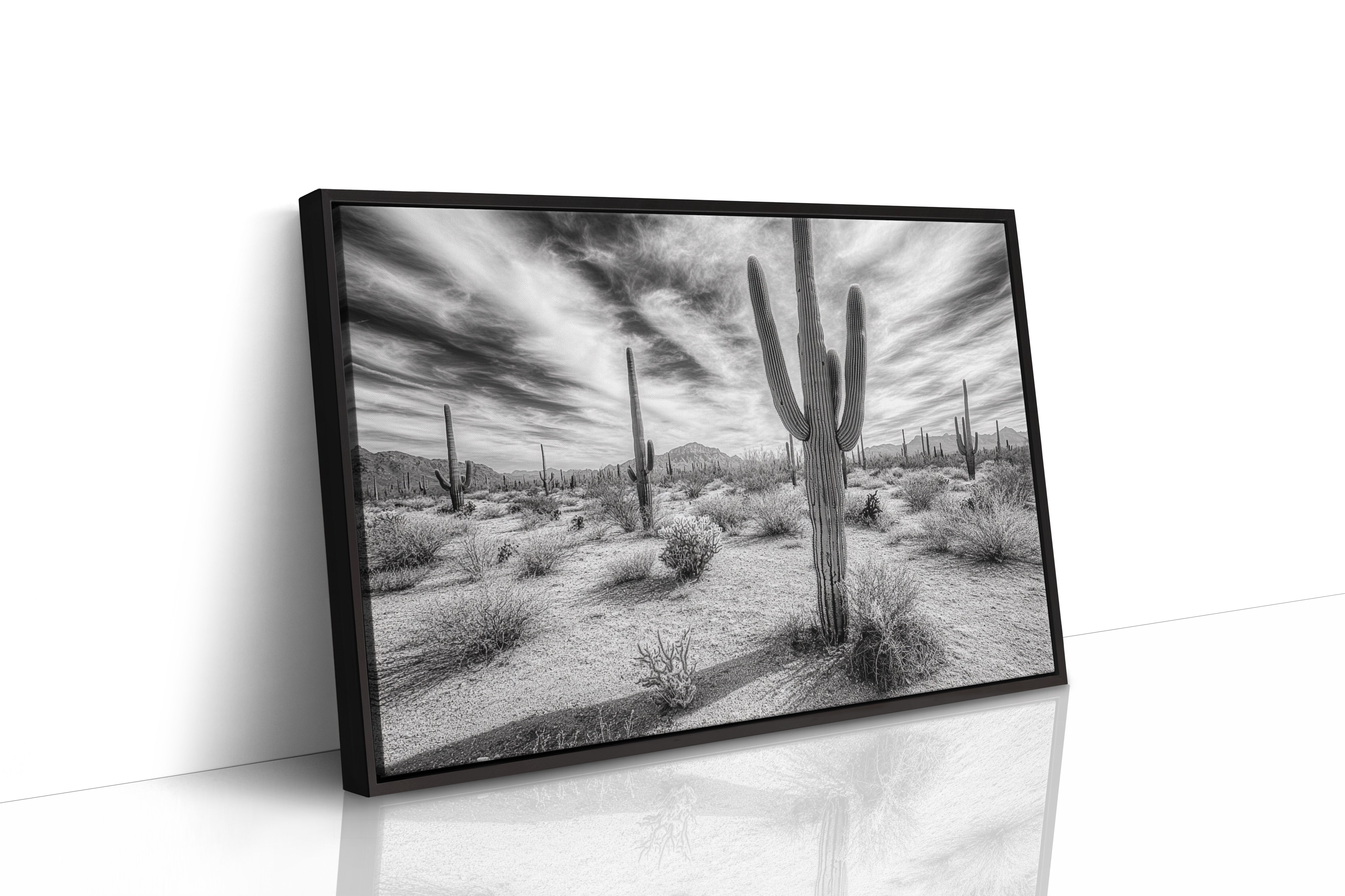 Saguaro Silence in Black and White