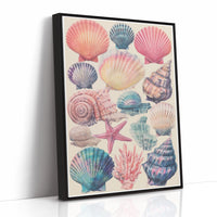 Treasures From Tidal Shores