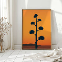 Desert Century Plant Meets Dusk