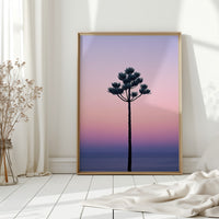Twilight Palm Reaches For Stars