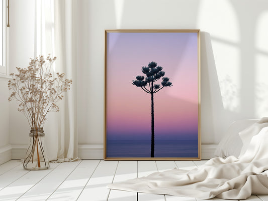 Twilight Palm Reaches For Stars