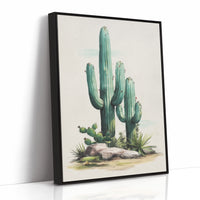 Saguaros Paint The Morning Mint