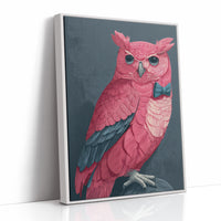 Pink Owl, Dapper in Blue