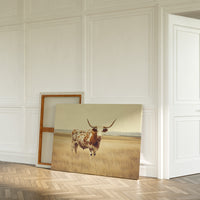 Prairie King: Longhorn on the Plains