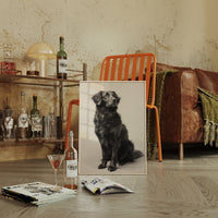 A Loyal Heart's Quiet Vigil