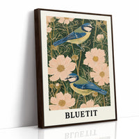 Blue Tits Among Cosmos Blooms